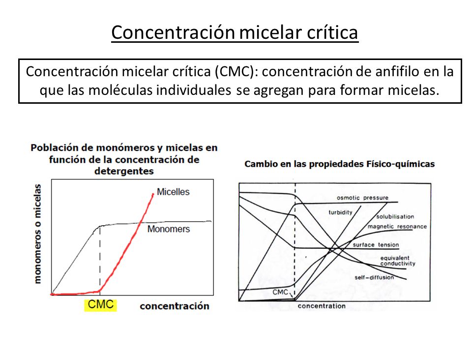 concentracion micelar critica